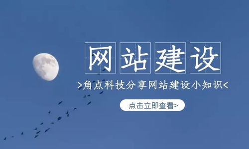 企業(yè)網(wǎng)站如何推廣效果更好 角點(diǎn)科技分析企業(yè)網(wǎng)站推廣的方法